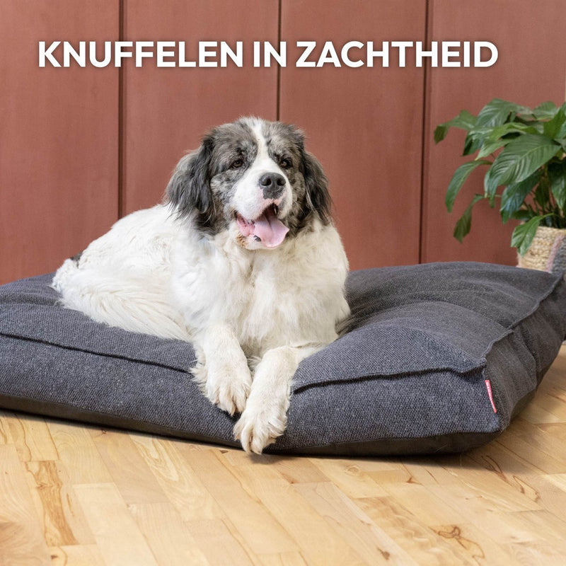 Snoozle Hondenkussen Amsterdam - Orthopedisch - Wasbaar - Hondenmand - Hondenbed - 80 x 55 cm (L) - Groen