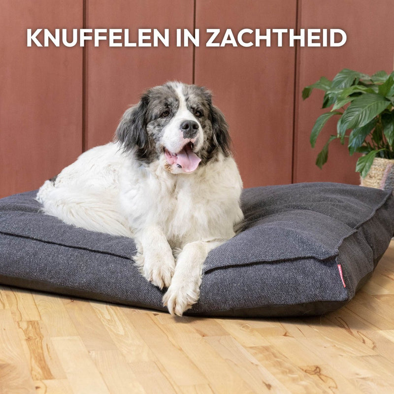 Snoozle Orthopedische Hondenmand - Zacht en Luxe Hondenkussen - Hondenbed - Wasbaar - Hondenmanden - 80 x 55 cm - Stormy Grey