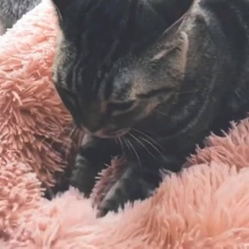 Snoozle Kattenmand - Zacht en Luxe Poezenmand - Kattenmandje rond - Wasbaar - 50cm - Lichtgrijs