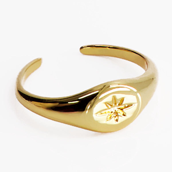 Laura ferini adjustable ladies ring rosà gold - round signet ring - 18k yellow gold gilded - gold -colored women jewelry - waterproof stainless steel - supplied in luxury gift box - with jewelry box - stainless steel jewelry - accessories